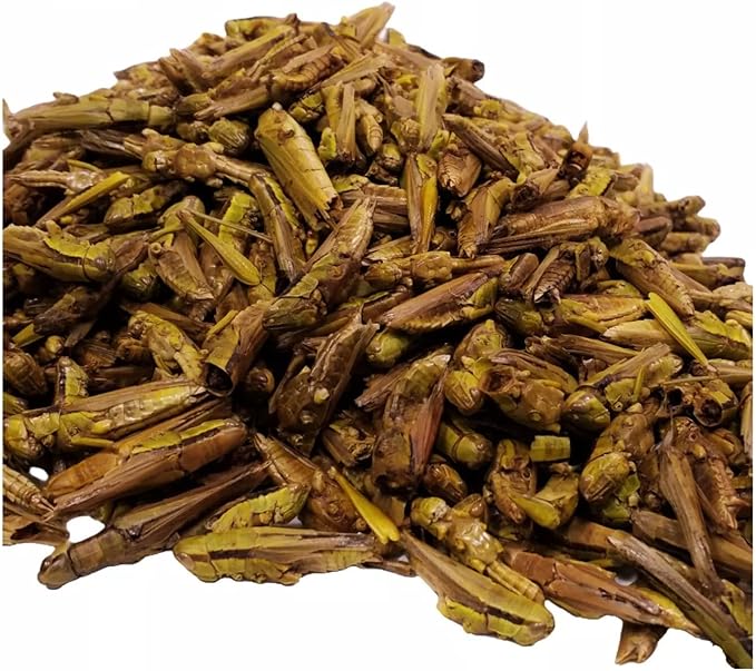 Aquatic Foods Inc. Grasshoppers - Freeze Dried Grasshoppers for Tropical Fish, Reptiles, Turtles, Tortoises Frogs, Hamsters, Birds, Rodents…5oz Med Jar