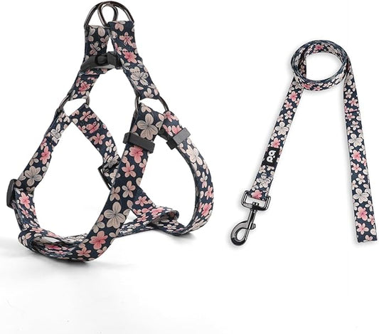 QQPETS Dog Harness Leash Set Adjustable Heavy Duty No Pull Halter Harnesses for Small Medium Large Breed Dogs Back Clip Anti-Twist Perfect for Walking