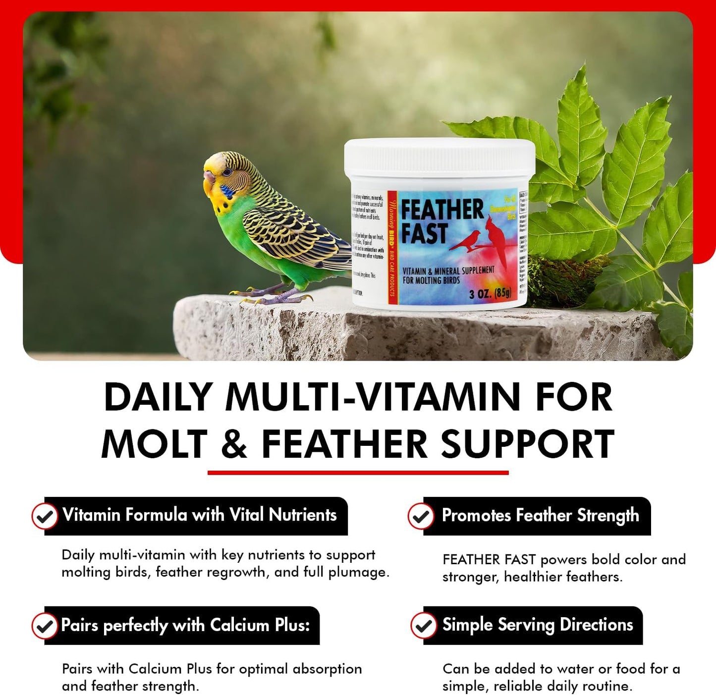 Morning Bird Feather Fast 3 Oz – Multi-Vitamin During Molt - Molting Support Supplement for Birds – Amino Acid & Vitamin Powder Formula– Promotes Feather Growth, and Full Plumage – for All Adult Birds