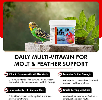 Morning Bird Feather Fast 3 Oz – Multi-Vitamin During Molt - Molting Support Supplement for Birds – Amino Acid & Vitamin Powder Formula– Promotes Feather Growth, and Full Plumage – for All Adult Birds