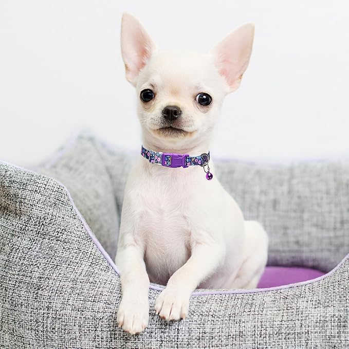 Purple Floral Small Dog Collar with Bell, Pretty Cute Flower Cat Collar Girl Puppy Collars with Bells for XS Small Tiny Pet Female Dogs Kitten Little Animal, S