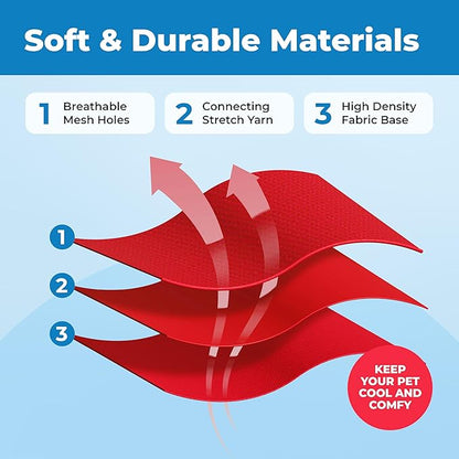 Voyager Escape Proof Cat Harness and Leash Set with Reflective Stitching, Neoprene Handle 5ft - Supports Small, Medium and Large Cats, Kittens for Walking by Best Pet Supplies - Red, S