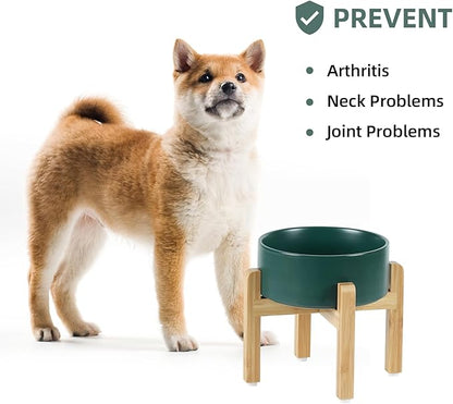Ceramic Raised Dog Bowl Set, Elevated Dog Bowl with Stand, Food and Water Bowl for Medium Breed Dogs, Weighted Pet Dishes(7.3'',41OZ, Green)