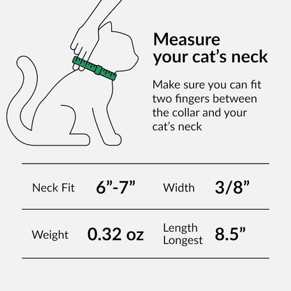 CollarDirect Leather Cat Collar, Cat Safety Collar with Elastic Strap, Kitten Collar for Cat with Bell Black Blue Red Orange Lime Green (Neck Fit 6"-7", Mint Green)