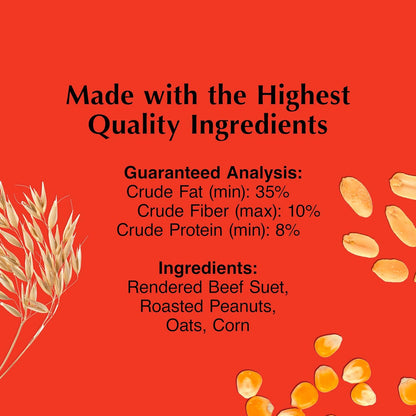 C&S Peanut Suet Treat, Suet Cakes for Wild Birds, 11 Ounces, Pack of 8