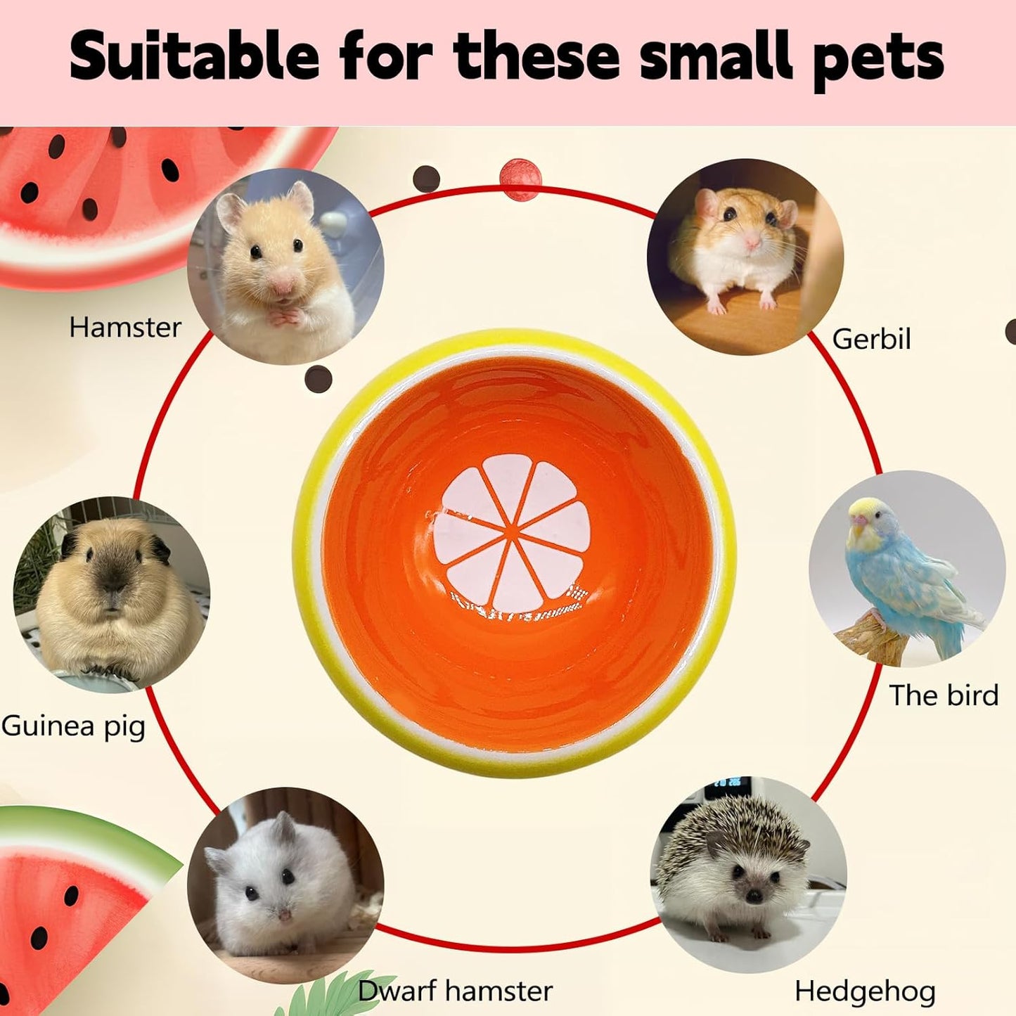 Hamiledyi Hamster Bowl,Pet Ceramic Food Water Feeding Dish Guinea Pig Water Rat Bowl for Gerbil Mouse Chinchilla Hedgehog Sugar Glider(2PCS)