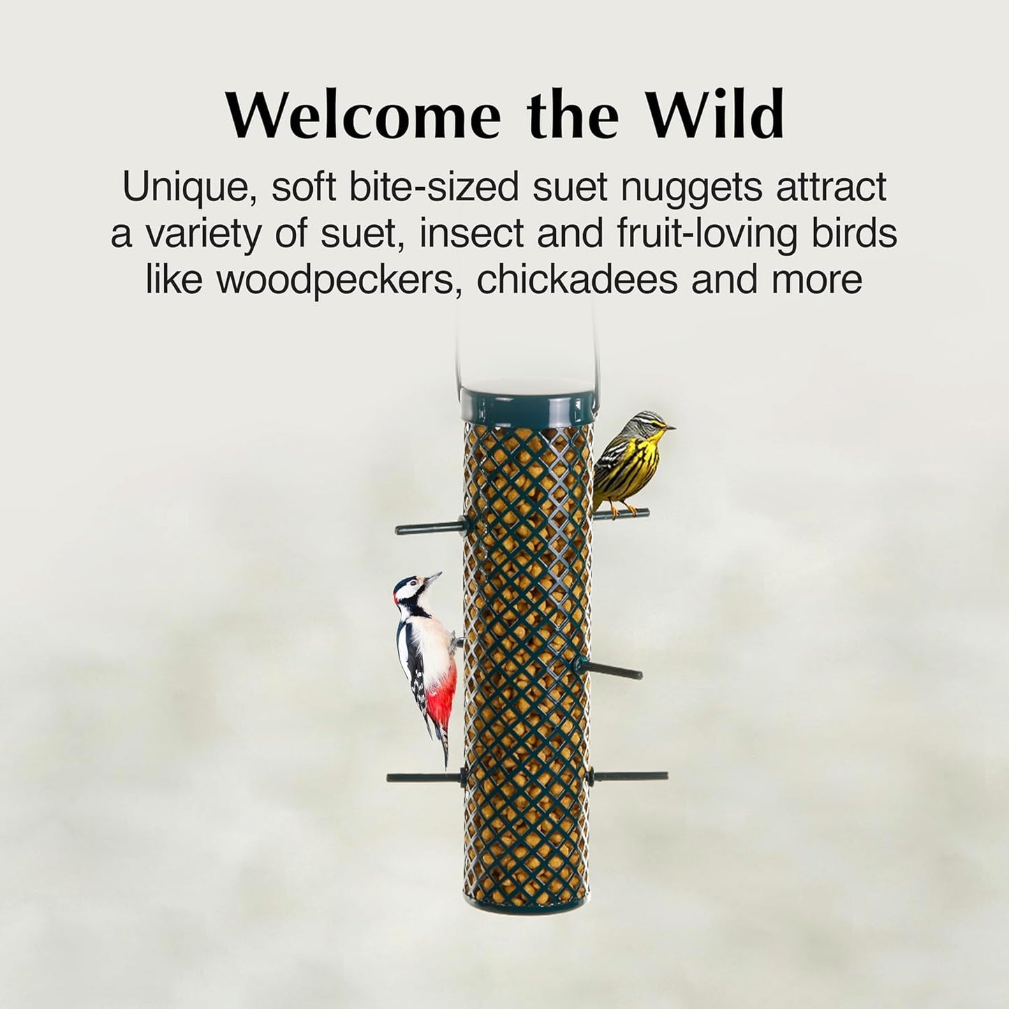 C&S Sunflower Suet Nuggets, Wild Birds Food For Woodpeckers, Chickadees, Nuthatches, and More, 8 Pounds