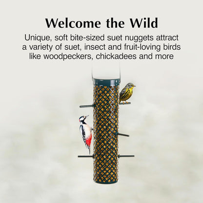 C&S Sunflower Suet Nuggets, Wild Birds Food For Woodpeckers, Chickadees, Nuthatches, and More, 8 Pounds