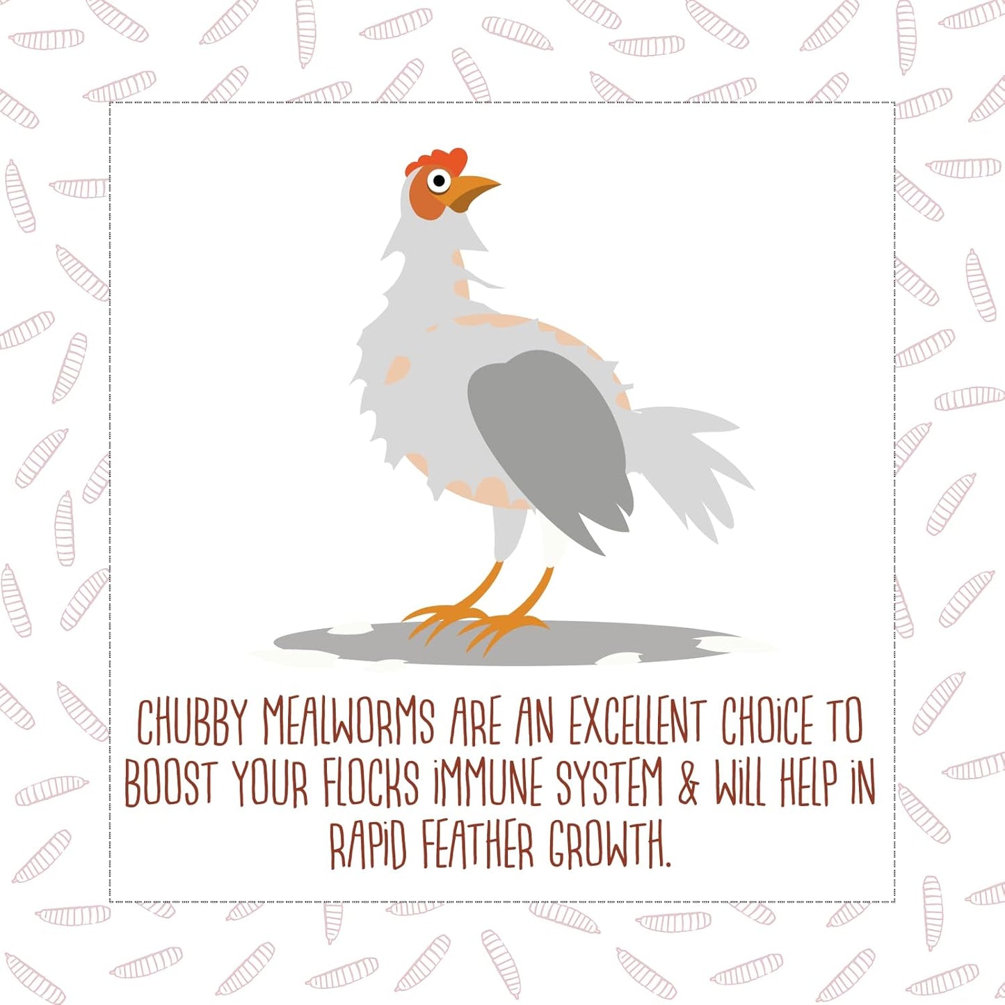 5Lb Chubby Dried Mealworms High Protein Treat for Chickens, Ducks & Birds