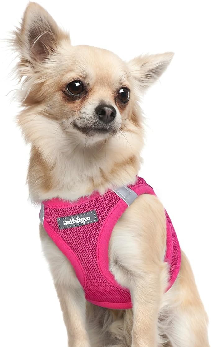 rabbitgoo Small Dog Harness, Step-in Soft Mesh Puppy Vest with Safety Buckle, Breathable Reflective Pet Harness for Extra Small Dogs, Rose Red XXXS