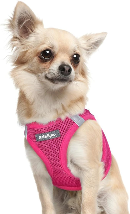 rabbitgoo Small Dog Harness, Step-in Soft Mesh Puppy Vest with Safety Buckle, Breathable Reflective Pet Harness for Extra Small Dogs, Rose Red XXXS