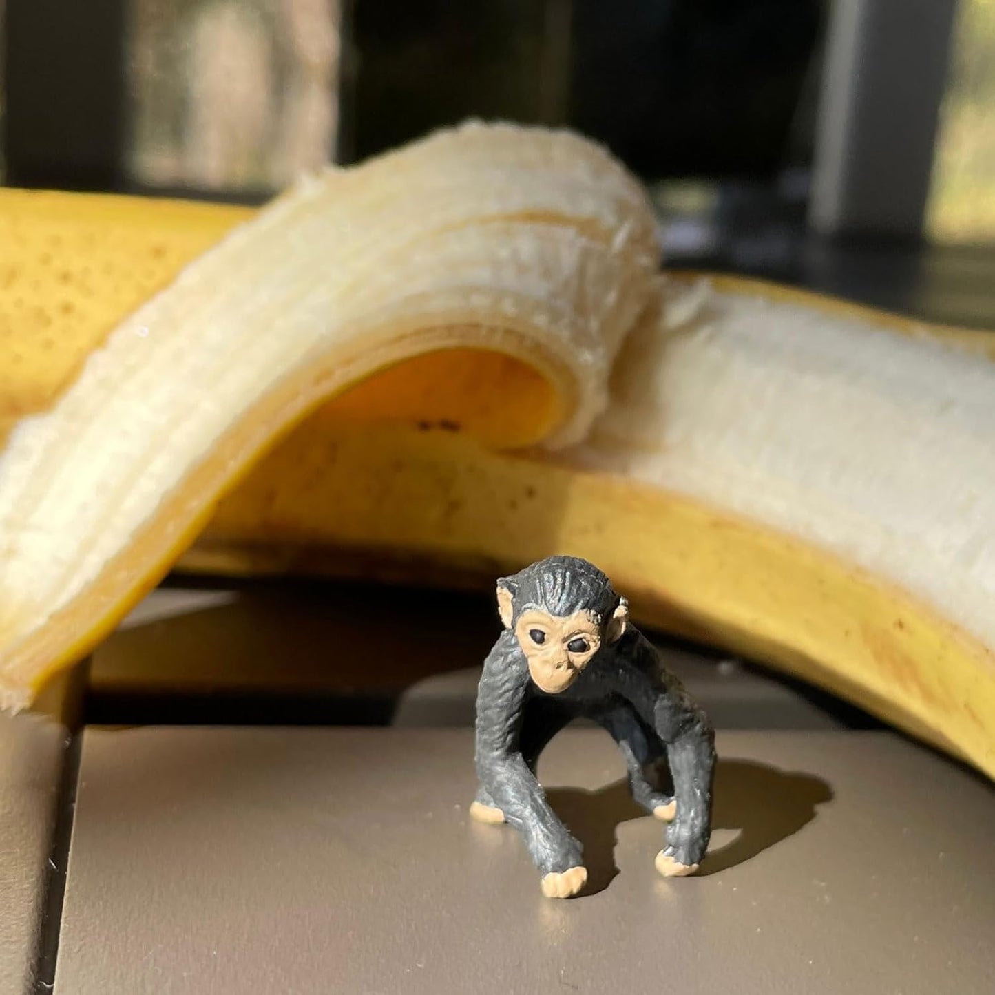 Safari Ltd. Exotic Fun Pack - Mini Figures of Exotic Animals - Educational Toy Set for Boys, Girls, and Kids Ages 5+