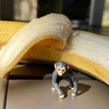 Safari Ltd. Exotic Fun Pack - Mini Figures of Exotic Animals - Educational Toy Set for Boys, Girls, and Kids Ages 5+