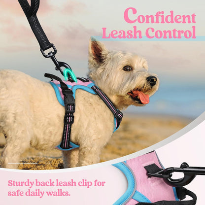 rabbitgoo Dog Harness No Pull with 2 Leash Clips, Adjustable Soft Padded, Reflective Oxford No Choke Pet Vest with Easy Control Handle for Puppy, Pink & Blue, XS