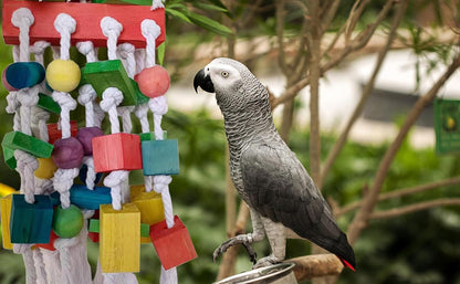Extra Large Parrot Bird Toys for Macaws, Amazon Parrots, African Grey- Birds Cage Accessories