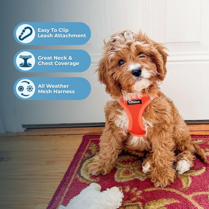 Best Pet Supplies Voyager Step-in Air Harness - All Weather Mesh, Reflective, No Pull Harness for Dogs, Cats - Secure with Hook & Loop Fastener, Buckle, Double D-Rings - Orange, XXS
