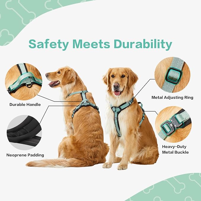 PawsPassion Dog Harness for Medium Dogs, No Pull Dog Harness Easy Walk with Metal Hardware, Ergonomic Y-Shaped Design, Soft Padding, Padded Handle, Durable High-Tensile Nylon (Seabreeze, M)