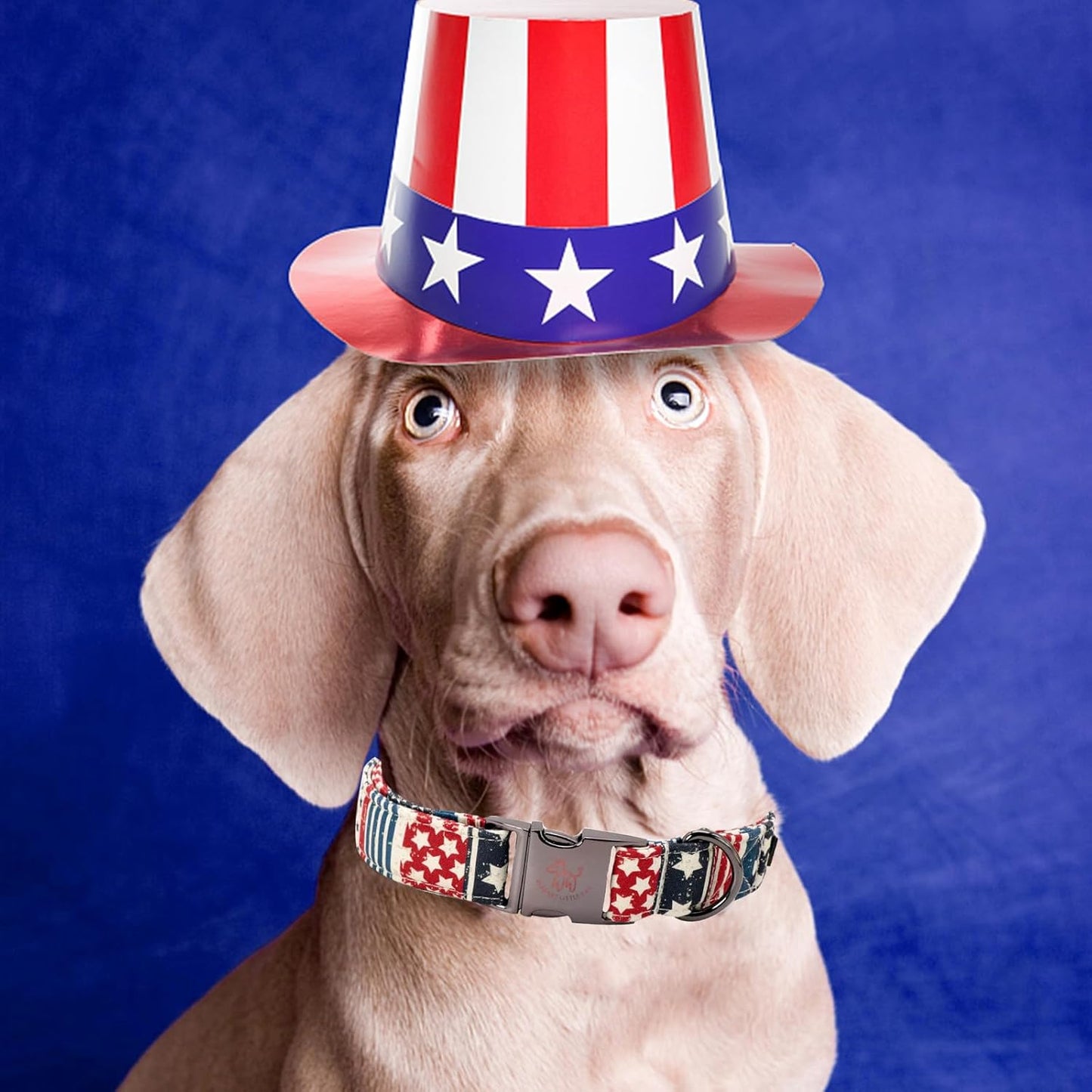 Elegant little tail Independence Day Dog Collar, Holiday Pet Collar Patriotic Dog Durable Dog Collars Girl or Boy Soft Pet Gift Adjustable Dog Collar for Small Medium Large Dogs