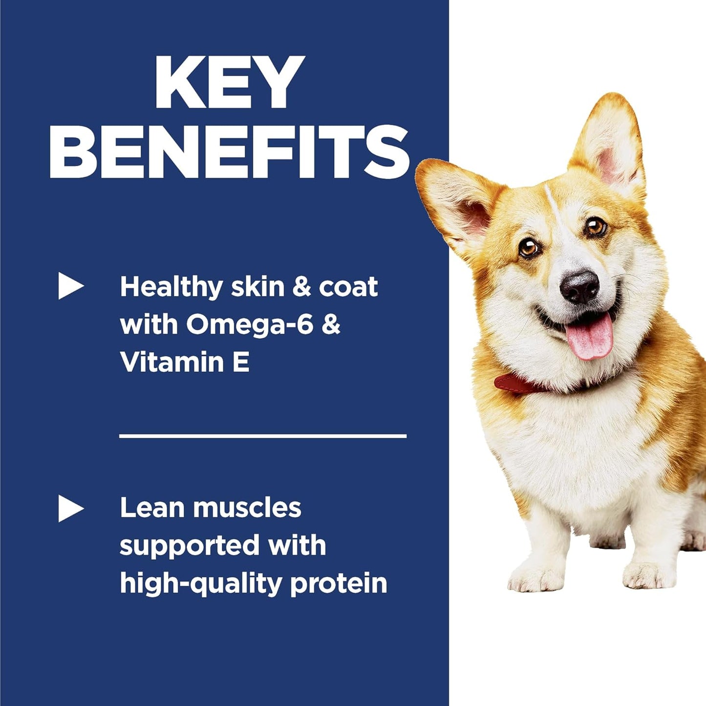 Hill's Science Diet Adult 1-6, Adult 1-6 Premium Nutrition, Small Kibble, Dry Dog Food, Lamb & Brown Rice, 15.5 lb Bag