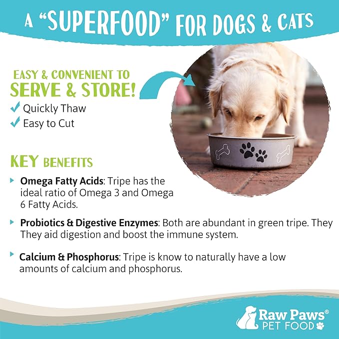 Raw Paws Signature Pet Food for Dogs & Cats - Green Beef Tripe, 1-lb Rolls (20 Pack) - Fresh Pet Food Made in USA, Green Beef Tripe Dog Food - Natural Dog Food Rolls, Raw Frozen Dog & Cat Food