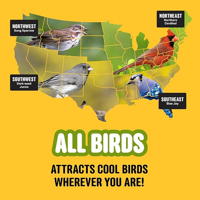 All Birds Wild Bird Seed – 10 lb. Classic Blend with Black Oil Sunflower, White Millet, Safflower, Peanuts & Sunflower Hearts – Balanced Bird Food for Outside Feeders