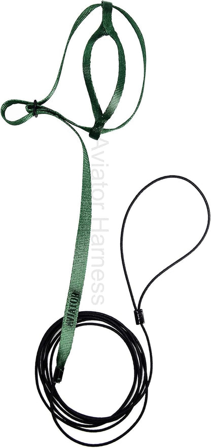 The AVIATOR Pet Bird Harness and Leash: X-Small Green