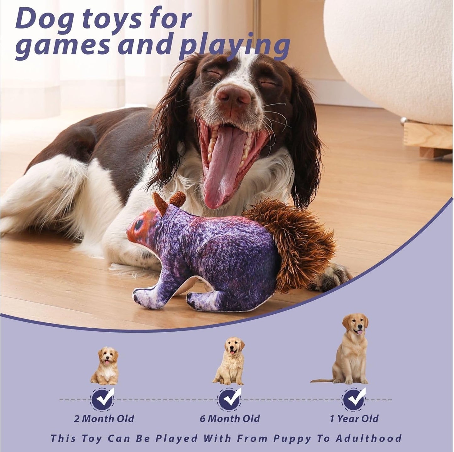 Dog Toy Squirrel, Squeaky with Soft Fabric for Small, Medium, and Large Dogs Daily Companionship, Training Reward Gift