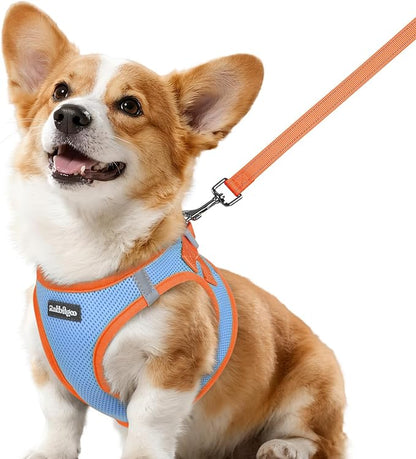 rabbitgoo Dog Harness Small Sized and Leash Set, Step-in Breathable Pet Harness, Soft Walking Reflective Puppy Vest for Small Dogs, Light Blue & Orange, L