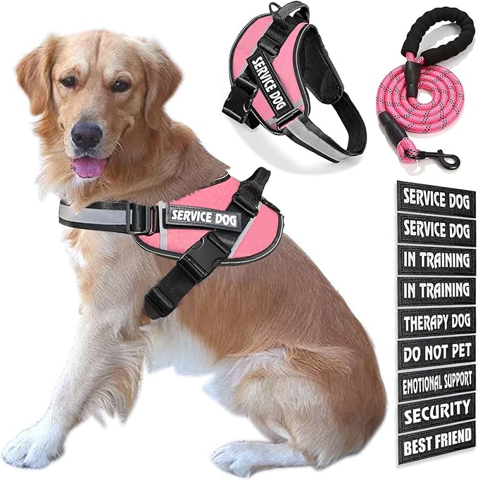 Service Dog Vest, 9 Dog Patches No Pull Dog Harness and Leash Set with Handle,Easy On and Off Pet Vest Harness with Night Safe Reflective Straps for Small Medium Large Breed Dogs