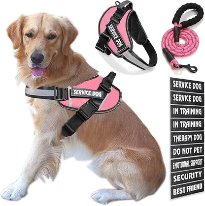 Service Dog Vest, 9 Dog Patches No Pull Dog Harness and Leash Set with Handle,Easy On and Off Pet Vest Harness with Night Safe Reflective Straps for Small Medium Large Breed Dogs
