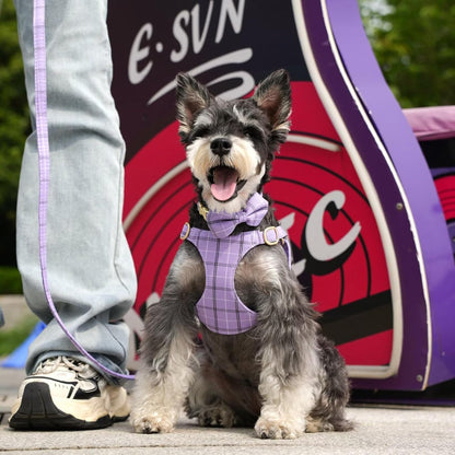 Beirui Cute Small Dog Harness Collar and Leash Set with Bowtie, Soft Adjustable Plaid Puppy Harness for Small Sized Dogs Cats Walks Parties and Photoshoots(Purple,S:Chest 17-23")
