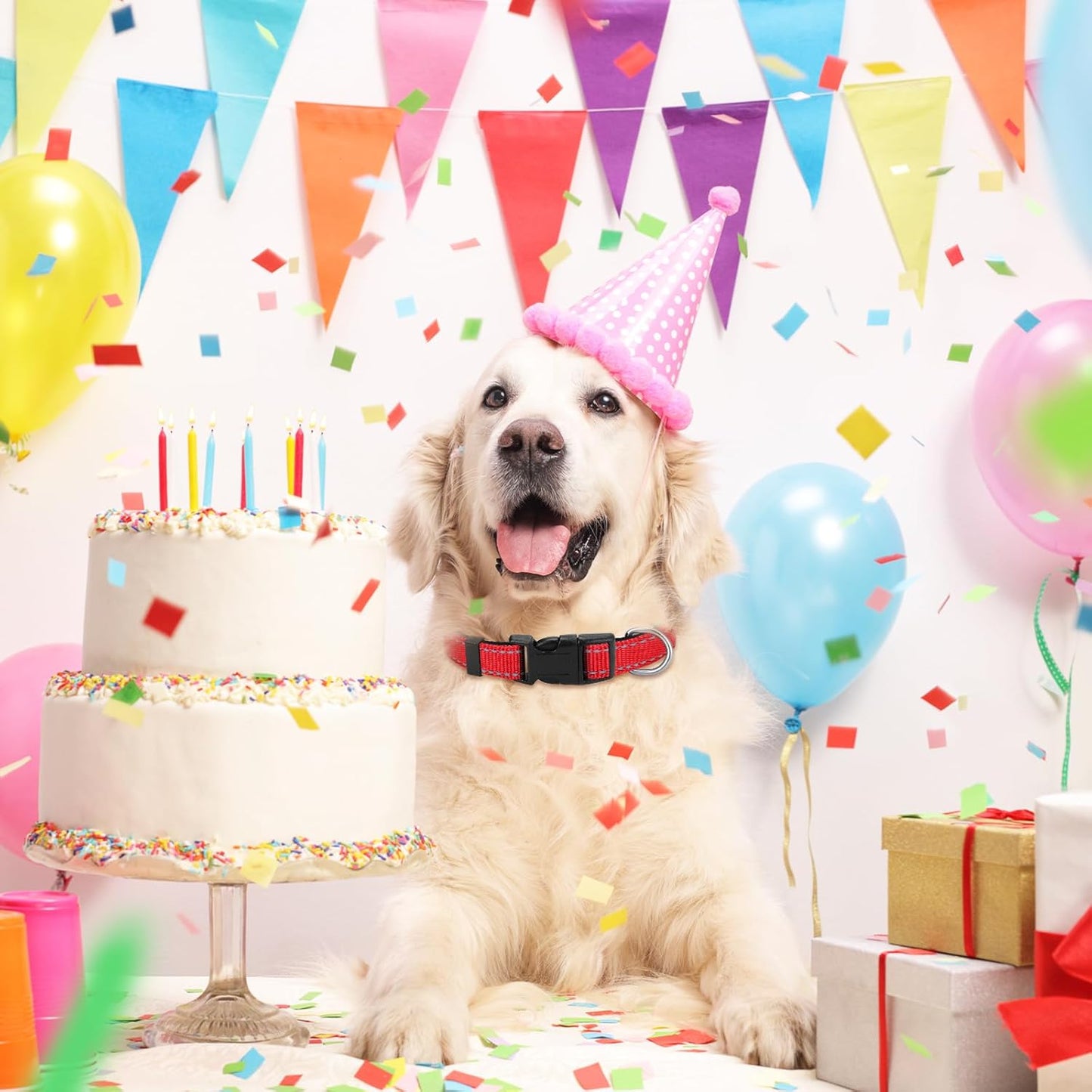 Sanwuta 12 Pcs Reflective Puppy Dog Collars Bulk for Litter Dogs Adjustable Safety Nylon Collars with Locking Buckle Soft Padded Breathable Puppy Collar for Cats Pets(Medium)