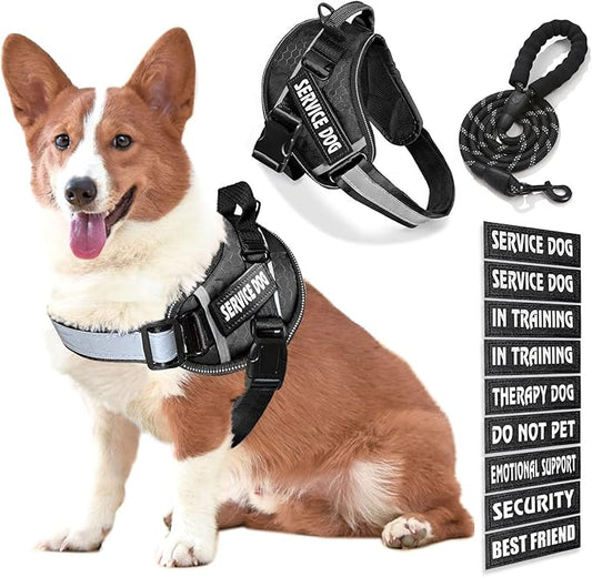 Service Dog Vest, 9 Dog Patches No Pull Dog Harness and Leash Set with Handle,Easy On and Off Pet Vest Harness with Night Safe Reflective Straps for Small Medium Large Breed Dogs