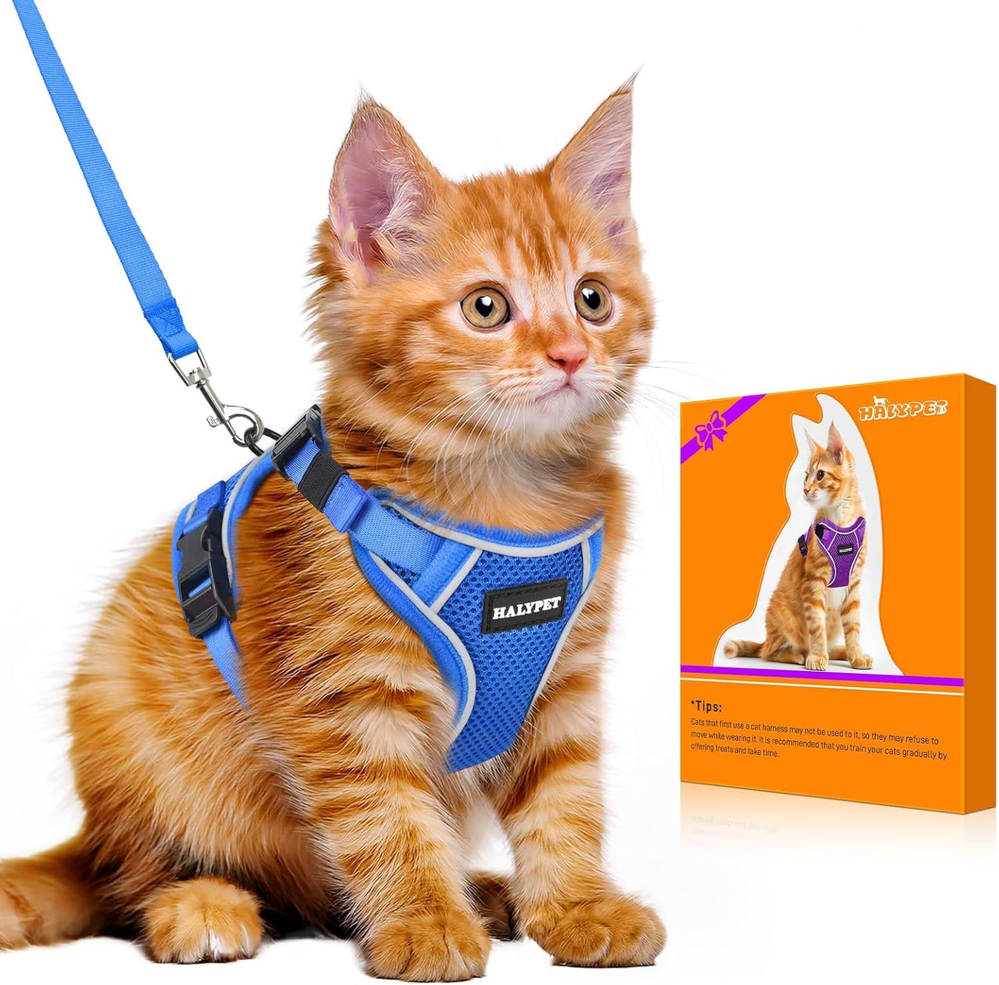 Halypet Cat Harness and Leash Set [MAX Safety 4th-Gen Upgrade] Escape Proof Adjustable Cat Leash Comfortable Soft Vest Easy to Wear Kitten Harness with Reflective Strip for Cats Walking, S Blue