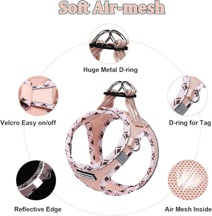 Mercano Soft Mesh Dog Harness and Leash Set, No-Chock Step-in Reflective Breathable Lightweight Easy Walk Vest Harnesses with Safety Buckle for Small Dogs, Cats (Champagne, XL)