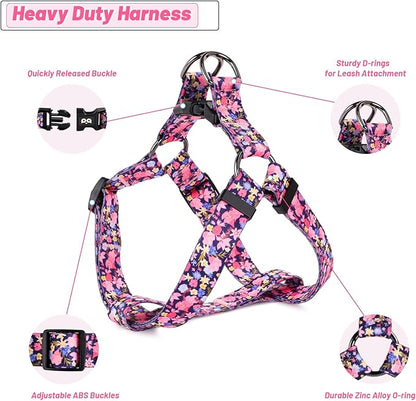 QQPETS Dog Harness Leash Set Adjustable Heavy Duty No Pull Halter Harnesses for Small Medium Large Breed Dogs Back Clip Anti-Twist Perfect for Walking