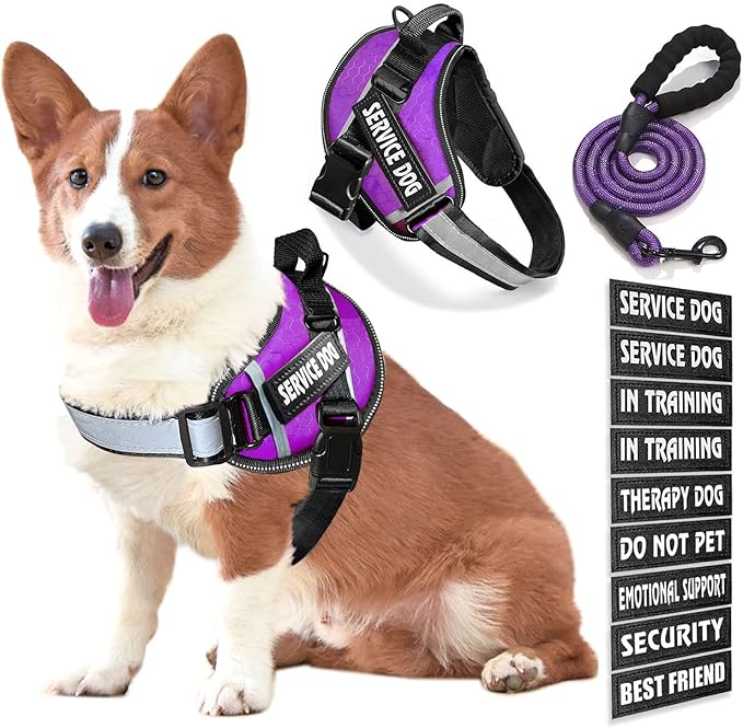 Service Dog Vest, 9 Dog Patches No Pull Dog Harness and Leash Set with Handle,Easy On and Off Pet Vest Harness with Night Safe Reflective Straps for Small Medium Large Breed Dogs