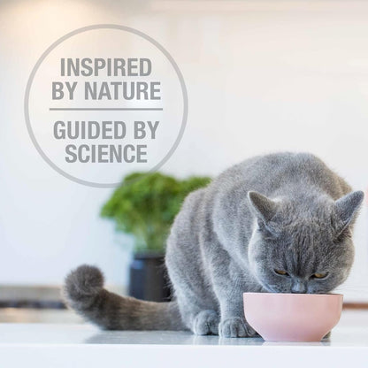 Feline Natural High Protein Dry Cat Food, Freeze-Dried Diet with 98% Meat, Organs & Seafood, No Peas, Grains, or Artificial Additives, Made in New Zealand, Beef, 11oz