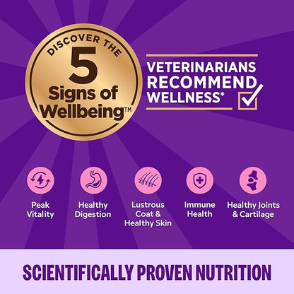 Wellness Complete Health Gravy and Minced Adult Wet Cat Food, Natural, Protein-Rich, Grain-Free, 3 Ounce, 12 Pack, (Chicken & Turkey Lovers Variety Pack)