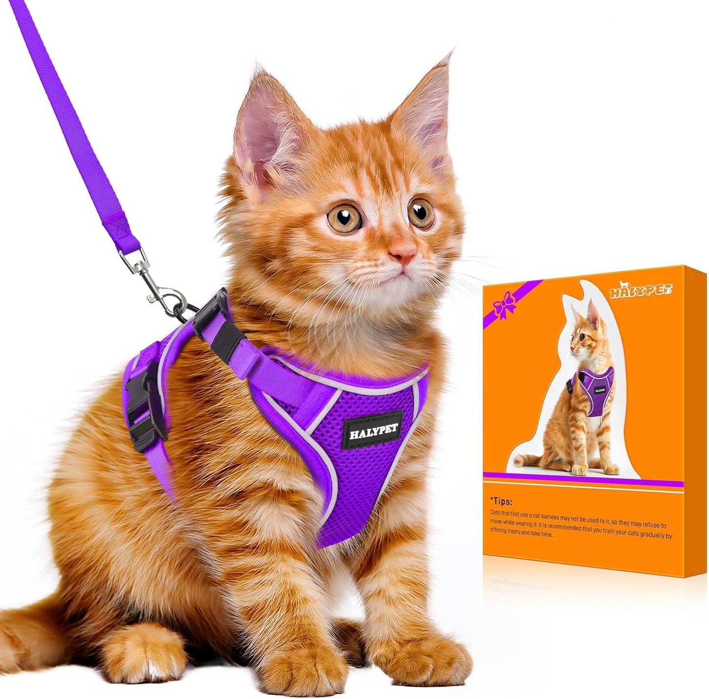 Halypet Cat Harness and Leash Set [MAX Safety 4th-Gen Upgrade] Escape Proof Adjustable Cat Leash Comfortable Soft Vest Easy to Wear Kitten Harness with Reflective Strip for Cats Walking, XS Purple