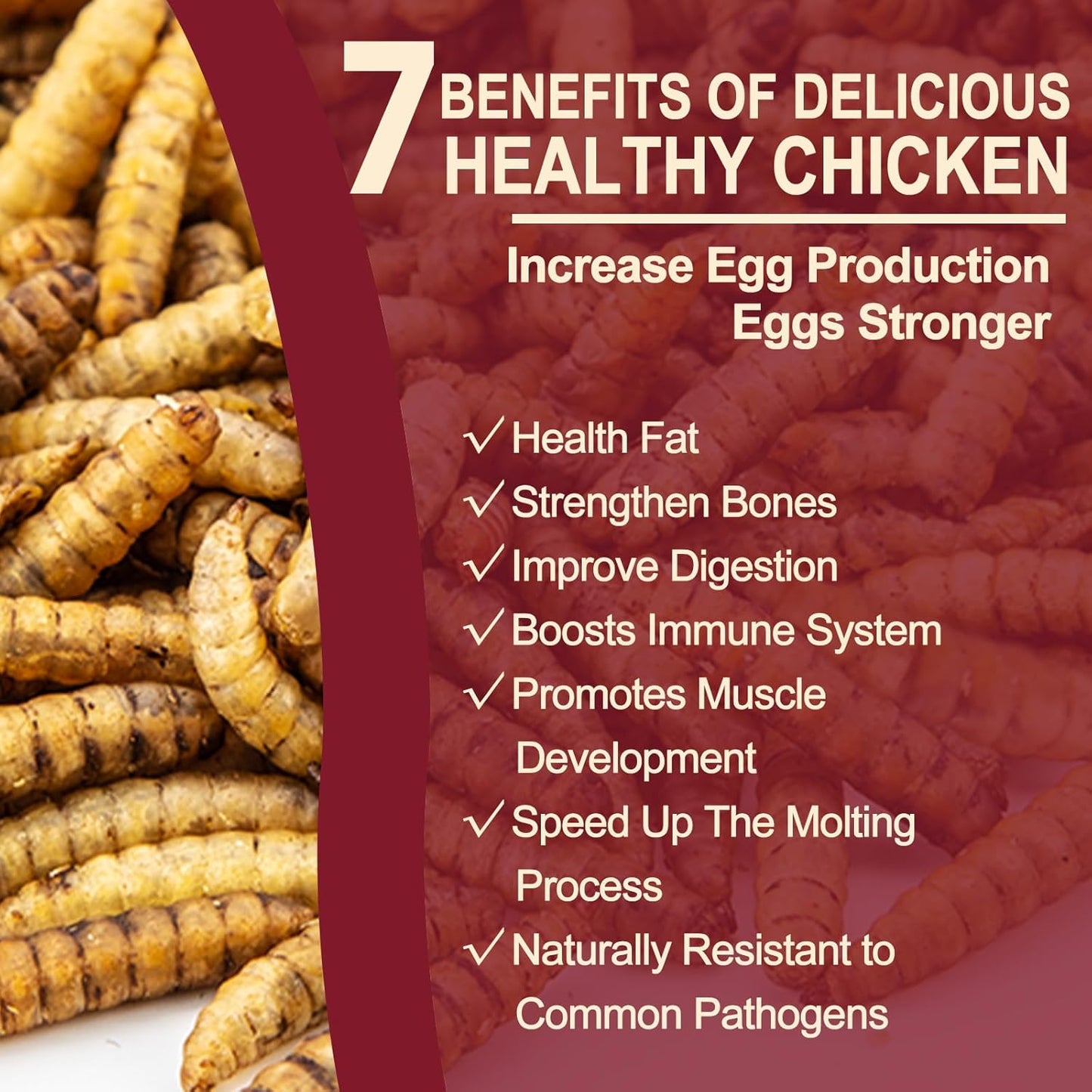 DE AVILA Dried Black Soldier Fly Larvae for Chickens Bulk, Non GMO 86X High Calcium Grubs Than Meal Worms for Laying Hens,100% Natural BSF Larvae for Chicken Wild Bird Treats 2.5LB