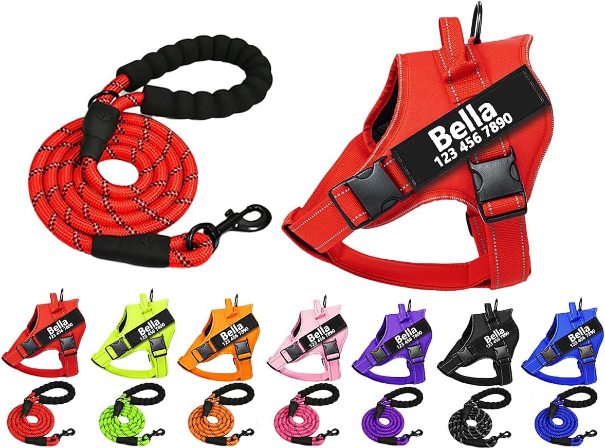 Custom Personalized No Pull Dog Harness with ID Name Phone Number and Rope Dog Leash Set, Heavy Duty Reflective Easy On Pet Vest Harness for X-Small Small Medium Large X-Large Dogs