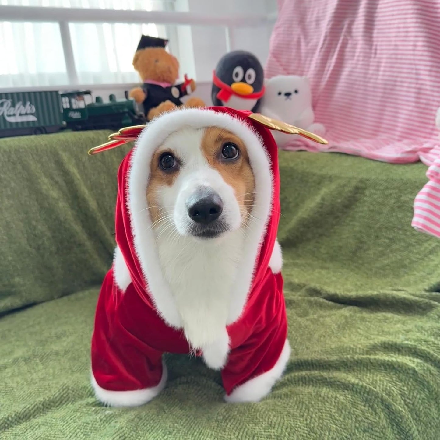 Christmas Dog Hoodie for Small Medium Large Dogs, Santa Claus Dogs Hoodie Christmas Cosplay Clothes Reindeer Dog Costume Outfits Pullover XXL