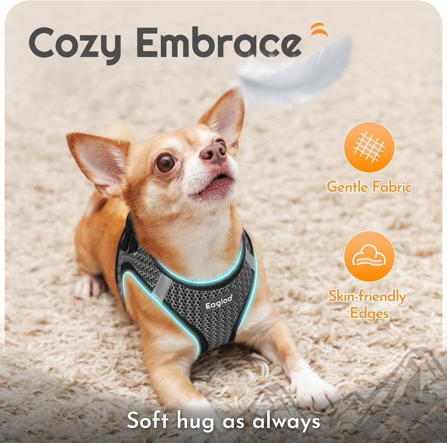 Eagloo Small Dog Harness and Leash Set, Step in Puppy Vest with Breathable Soft Mesh, Walking Reflective Pet Harness for Extra Small Dogs, Gray, XXS