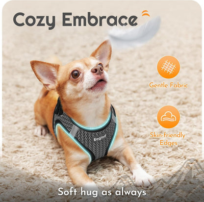 Eagloo Small Dog Harness and Leash Set, Step in Puppy Vest with Breathable Soft Mesh, Walking Reflective Pet Harness for Extra Small Dogs, Gray, XXS