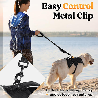 rabbitgoo Escape Proof Dog Harness with Large Handle