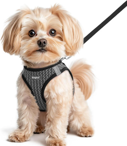 Eagloo Small Dog Harness and Leash Set, Step in Puppy Vest with Breathable Soft Mesh, Walking Reflective Pet Harness for Small Dogs, Gray, XS