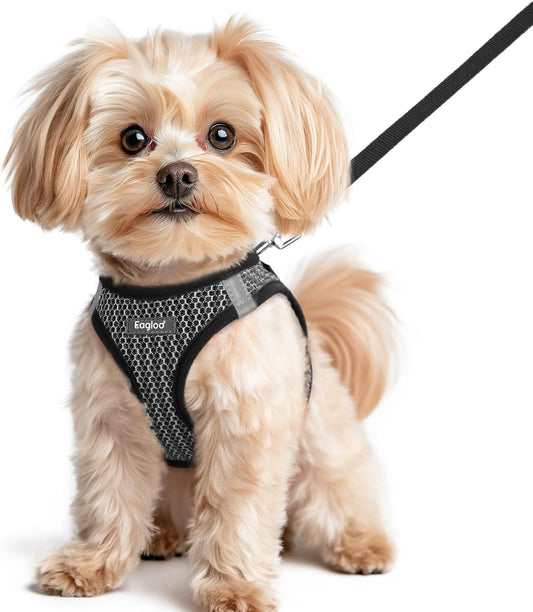 Eagloo Small Dog Harness and Leash Set, Step in Puppy Vest with Breathable Soft Mesh, Walking Reflective Pet Harness for Small Dogs, Gray, XS