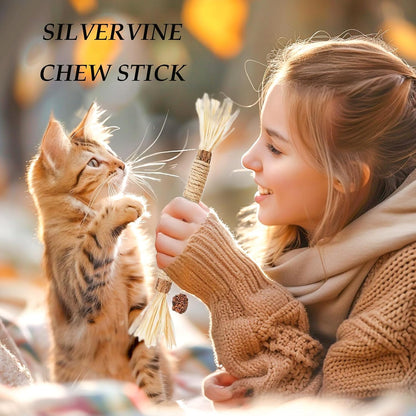 Cat Toys,6PCS Kitten Toys for Indoor Cats Catnip Toy for Chewing Silvervine Stick for Cleaning Teeth Kitty Dental Treat Interactive Toy Kitty Snack Self Play Wand Cat Mint Lick
