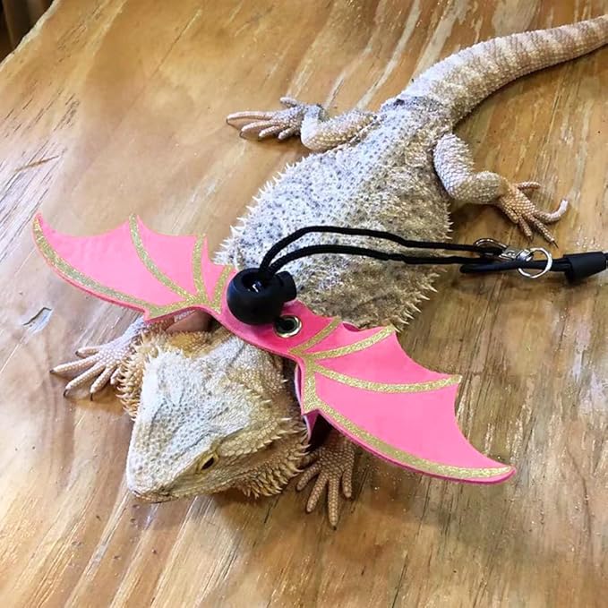 3 Size Pack Bearded Dragon Leashes and Harnesses, Bearded Dragon Harness, Soft Leather Detachable Adjustable Reptile Lizard Wing Leash